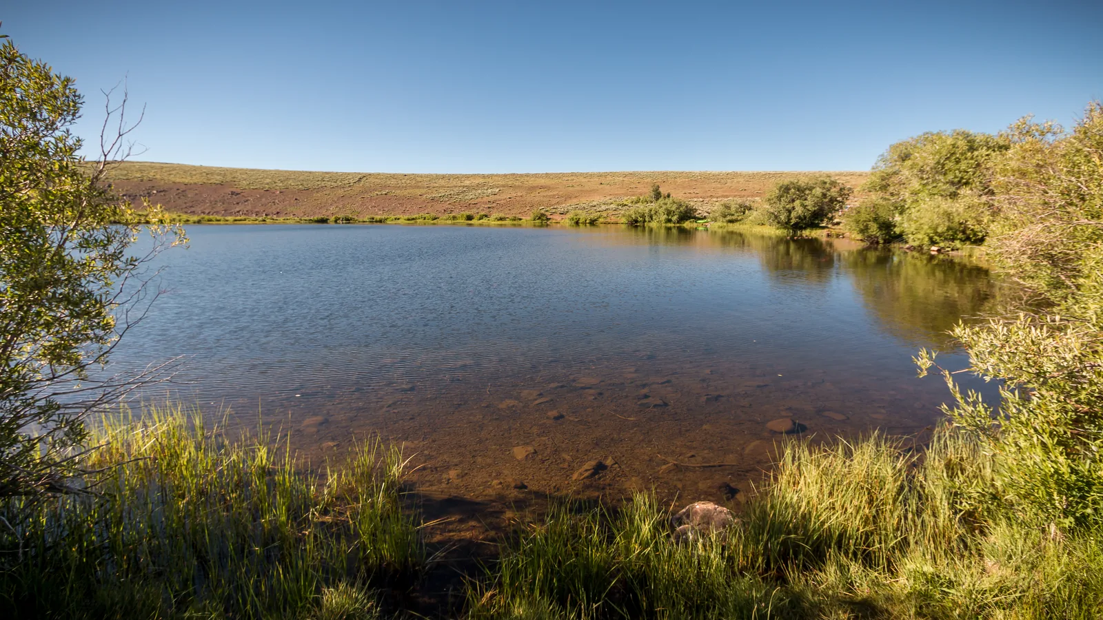 A calm lake ringed by grass and trees at a federal campground under a clear sky